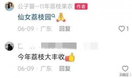 王搏被人爆料视频大全最新,揭秘网络爆料背后的真相与争议